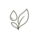Wellness-first essentials